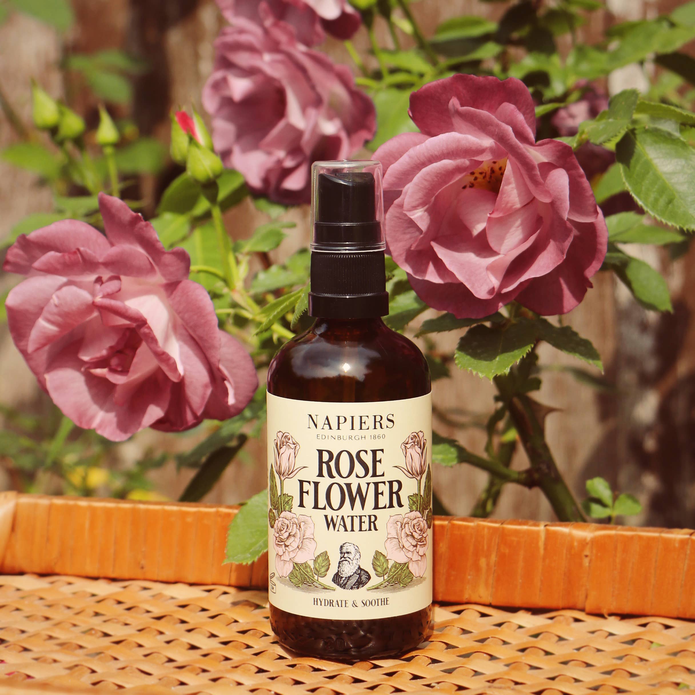 Rose Floral Water