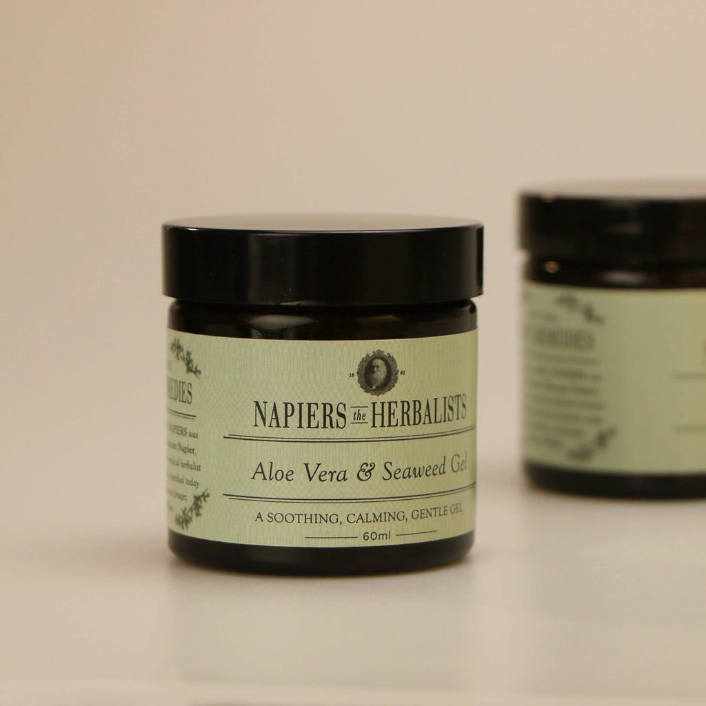Aloe Vera & Seaweed Gel