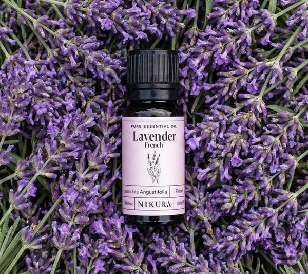 Lavender Oil | French – 10ml