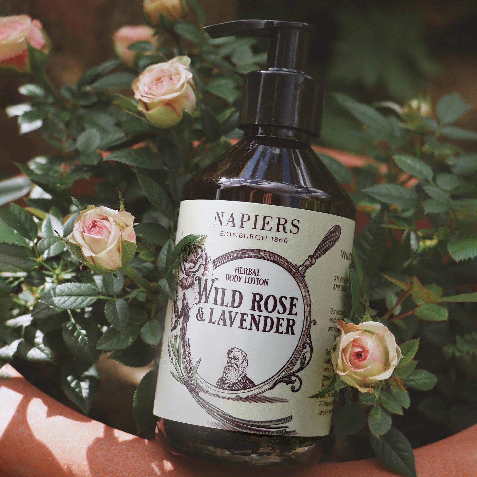 Wild Rose & Lavender Body Lotion