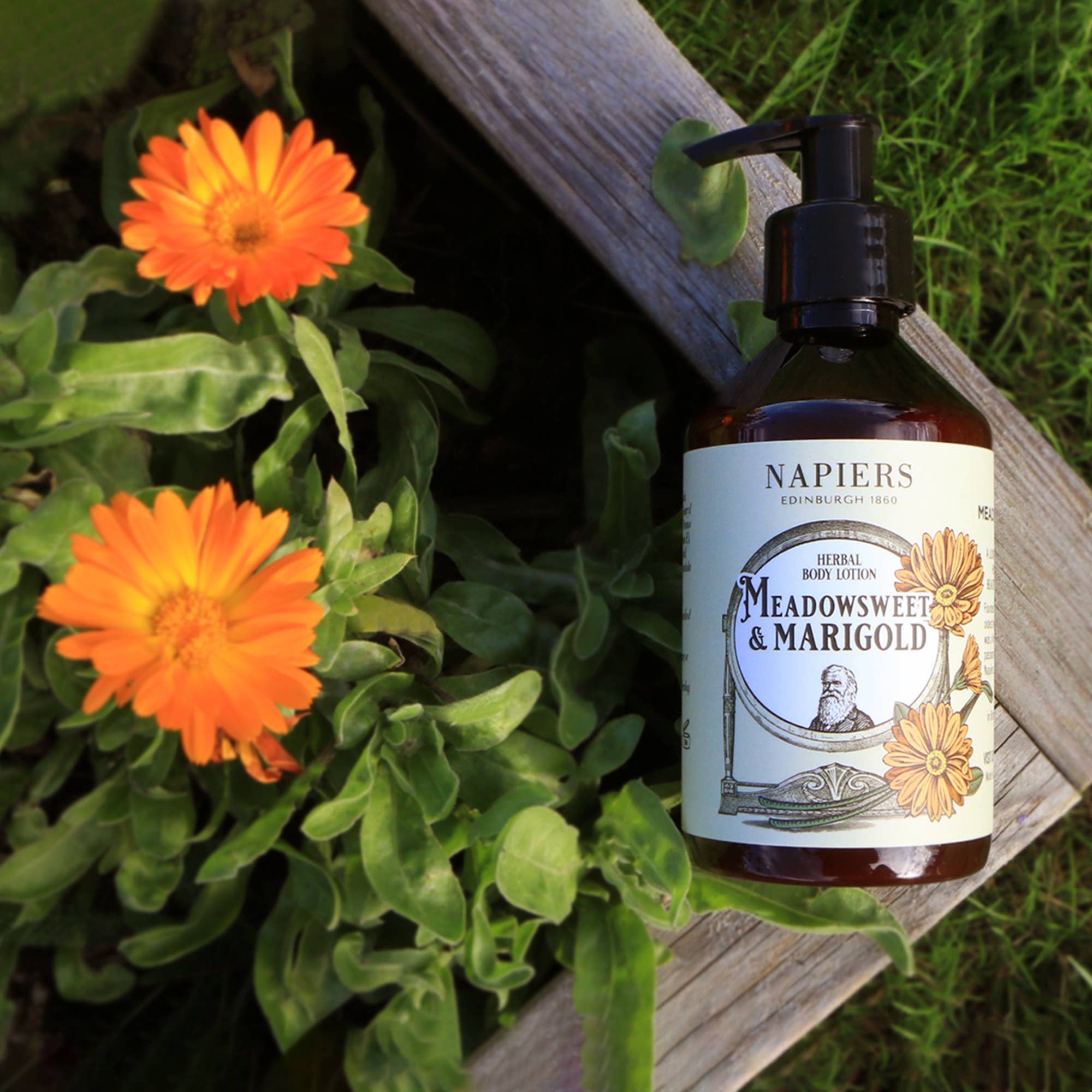 Meadowsweet & Marigold Body Lotion
